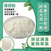 行业精选源头工厂薄荷粉水溶现货原料薄荷提取物散装批发薄荷脑粉