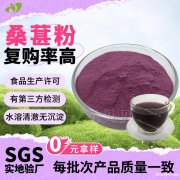 量大价优桑葚粉食品级速溶桑葚提取物固体饮料原料桑葚果粉现货