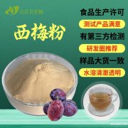 实力工厂一件包邮西梅粉食品级固体饮料原料西梅果粉西梅提取物
