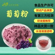 工厂现货批发葡萄粉固体饮料原料葡萄果粉食品级葡萄提取物包邮