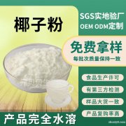 椰子提取物固体饮料原料水溶椰子粉包邮