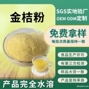 金桔果粉固体饮料原料金桔提取物水溶金桔粉包邮