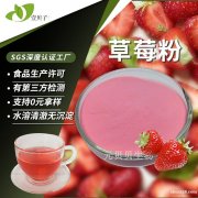 源头工厂草莓果粉散装现货批发草莓提取物食品级原料草莓粉水溶