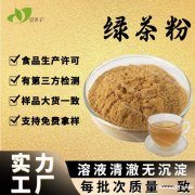 源头工厂免费拿样速溶茶粉食品级绿茶提取物固体饮料原料绿茶粉