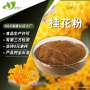 源头工厂原料批发30倍浓缩桂花粉100g散装现货食品级桂花提