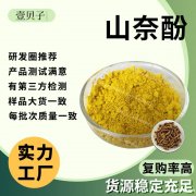 山奈酚原料粉壹贝子源头工厂行业精选批发槐角提取物98%山奈酚