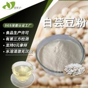 散装包邮白芸豆粉食品级原料碳水阻断剂淀粉酶抑制剂白 芸豆提取