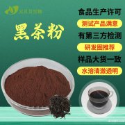 厂家一件包邮现货批发食品级固体饮料原料黑茶粉速水溶黑茶提取物