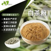 行业精选厂家批发白茶粉食品级原料速溶茶粉现货散装白茶提取物