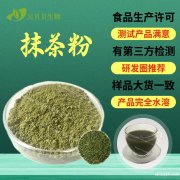 壹贝子厂家现货直发食品级抹茶粉速水溶固体饮料原料抹茶提取物