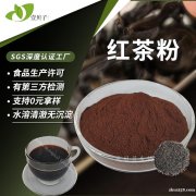 行业精选量大价优红茶粉食品级速溶茶粉固体饮料原料红茶提取物