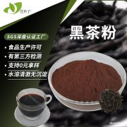 行业精选源头工厂速溶茶粉黑茶提取物散装现货食品级原料黑茶粉