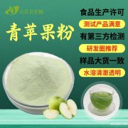 现货包邮青苹果果粉散装食品级原料青苹果提取物速溶青苹果粉批发