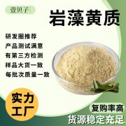 源头厂家包邮岩藻黄质批发海带提取物现货原料岩藻黄素散装