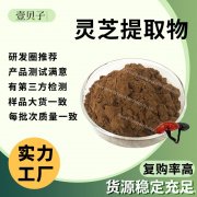 一件包邮SC实力工厂灵芝提取物散装批发灵芝多糖现货原料灵芝粉
