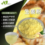 行业精选工厂小黄姜粉生姜提取物姜辣素散装食品级原料水溶生姜粉
