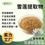 行业精选源头工厂雪莲果粉雪莲提取物散装食品级原料水溶雪莲粉