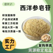 精选源头工厂西洋参皂苷现货原料西洋参提取物西洋参皂甙