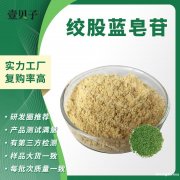 绞股蓝皂苷现货原料绞股蓝提取物散装批发绞股蓝皂甙包邮