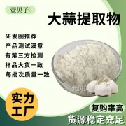 源头工厂大蒜粉散装现货批发大蒜提取物速水溶食品级